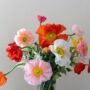 Poppy Medley